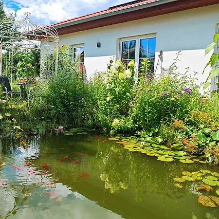 Holiday home Domizil Am Branitzer Park *