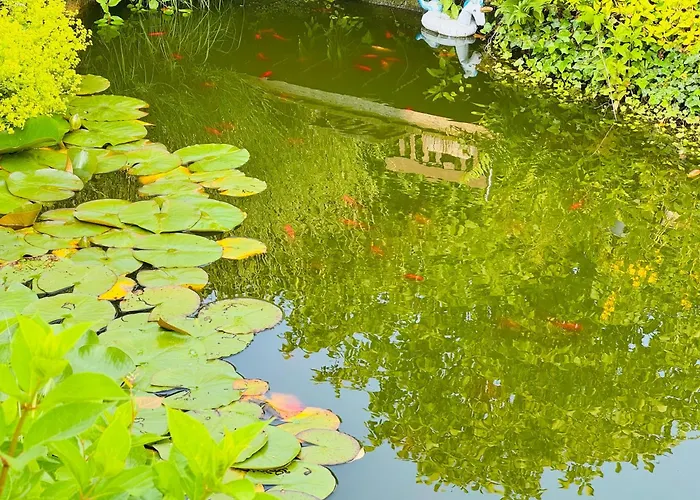 Domizil Am Branitzer Park Ferienhaus *